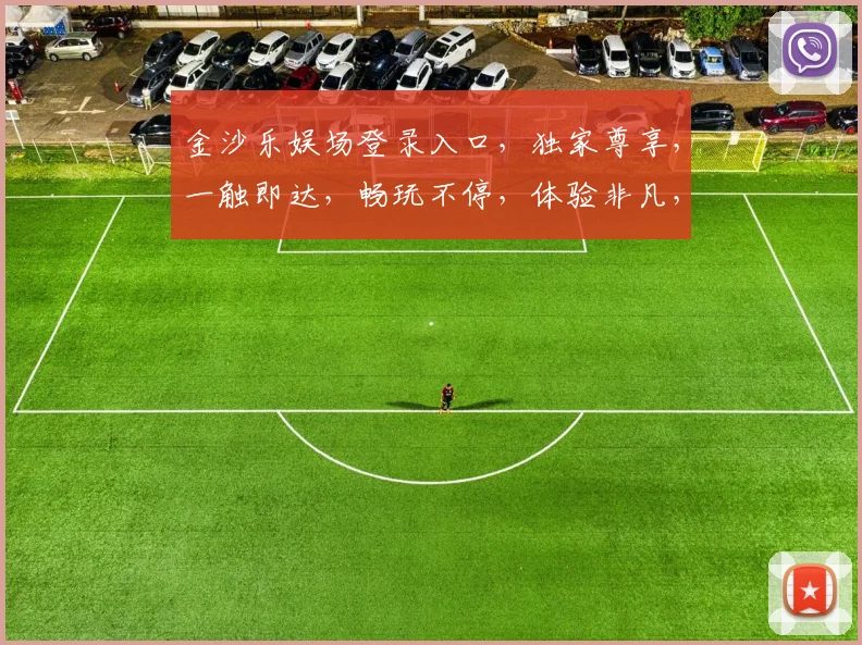 金沙乐娱场登录入口，独家尊享，一触即达，畅玩不停，体验非凡，必看攻略