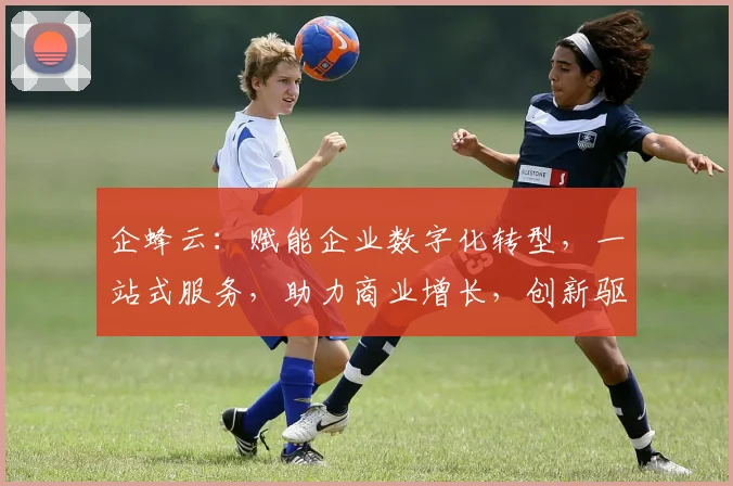 企蜂云：赋能企业数字化转型，一站式服务，助力商业增长，创新驱动，智慧共赢三步曲