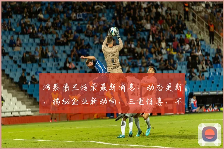鸿泰鼎王培荣最新消息，动态更新，揭秘企业新动向，三重惊喜，不容错过