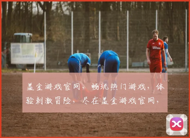 盖金游戏官网，畅玩热门游戏，体验刺激冒险，尽在盖金游戏官网，不容错过