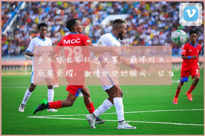乒乓球世界杯总决赛：巅峰对决，冠军荣耀，激情燃烧的瞬间，你准备好了吗